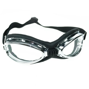 Cyberbrille Poizen Industries