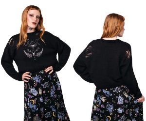 Pullover Fliegenpilz und Monden Pullover Fliegenpilz und Monden