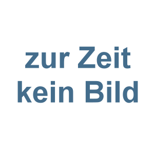 Bauchtasche Spaß kostet mit Metallpatch